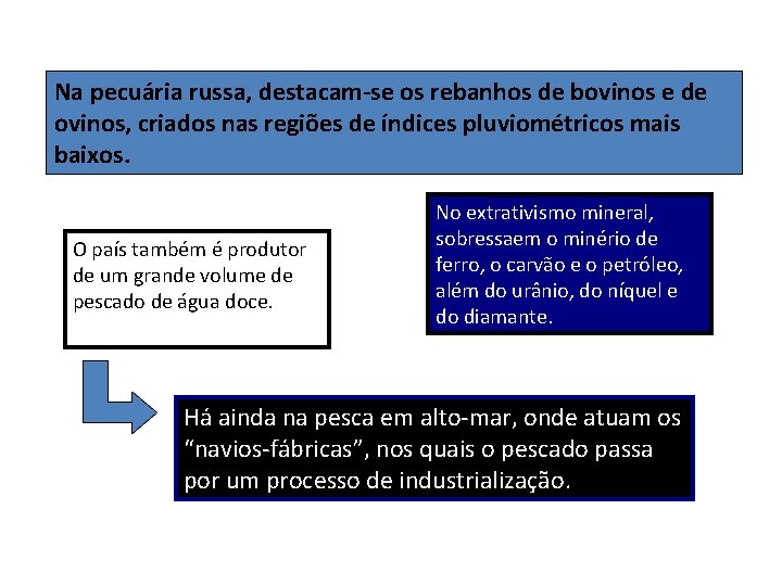 Na pecuária russa, destacam-se os rebanhos de bovinos e de ovinos, criados nas regiões