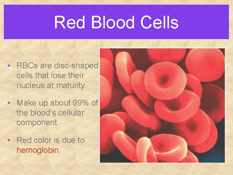 Red Blood Cells • RBCs are disc-shaped cells that lose their nucleus at maturity.