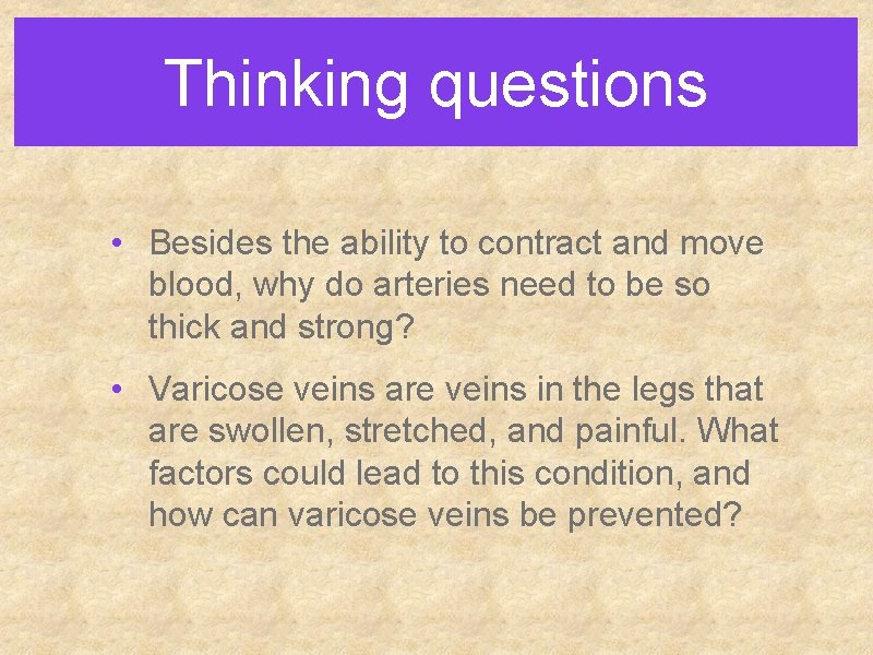Thinking questions • Besides the ability to contract and move blood, why do arteries
