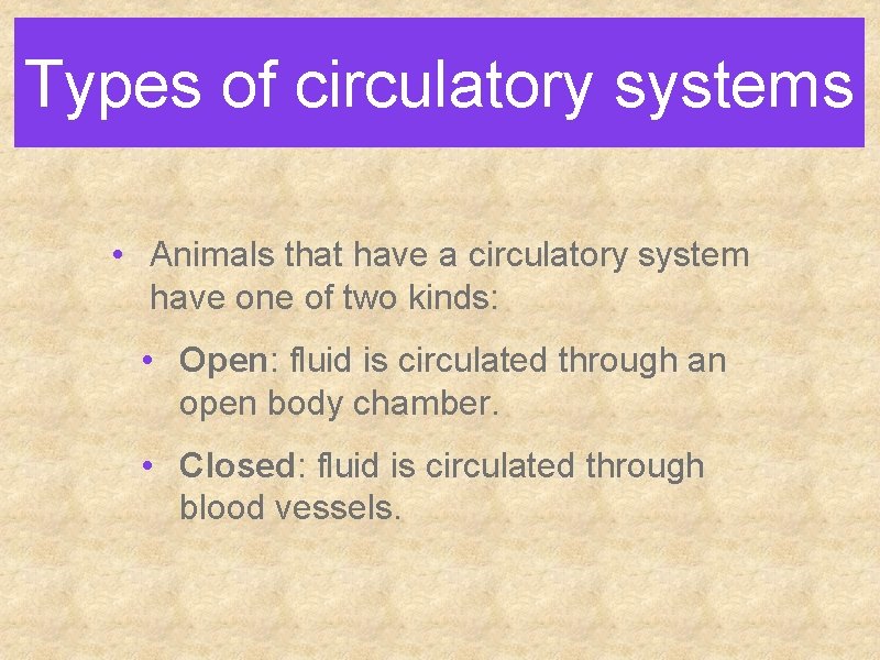 Types of circulatory systems • Animals that have a circulatory system have one of