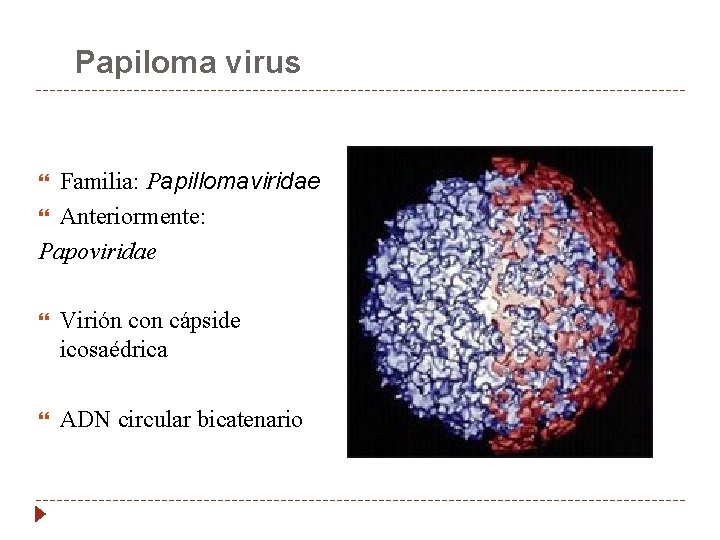 papillomaviridae tratamiento