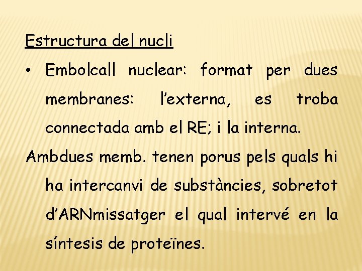 Estructura del nucli • Embolcall nuclear: format per dues membranes: l’externa, es troba connectada