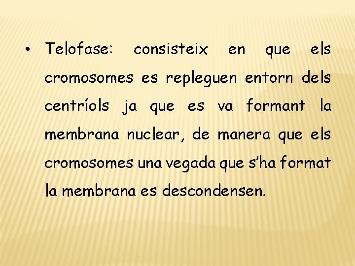  • Telofase: consisteix en que els cromosomes es repleguen entorn dels centríols ja