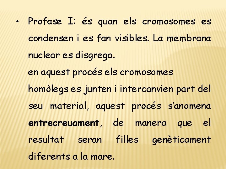  • Profase I: és quan els cromosomes es condensen i es fan visibles.