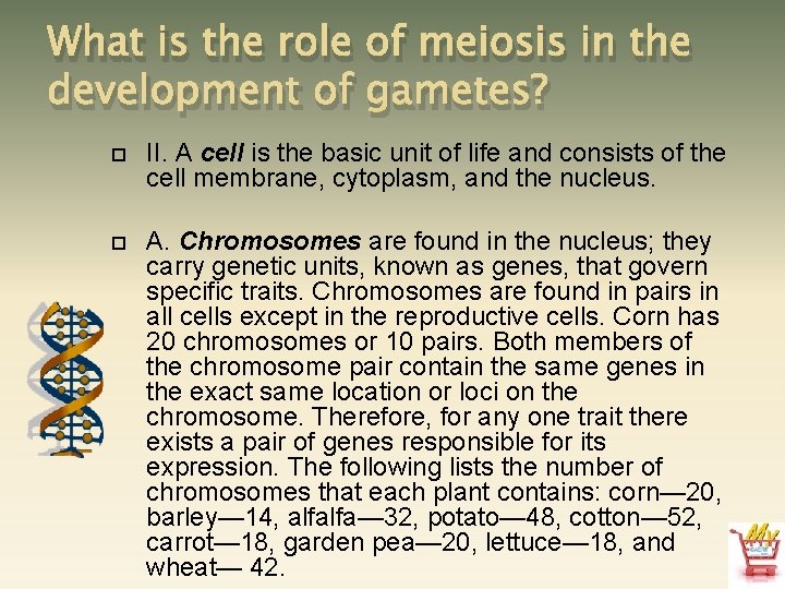 What is the role of meiosis in the development of gametes? II. A cell