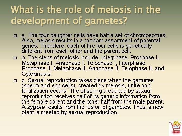 What is the role of meiosis in the development of gametes? a. The four