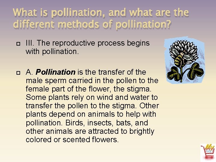 What is pollination, and what are the different methods of pollination? III. The reproductive