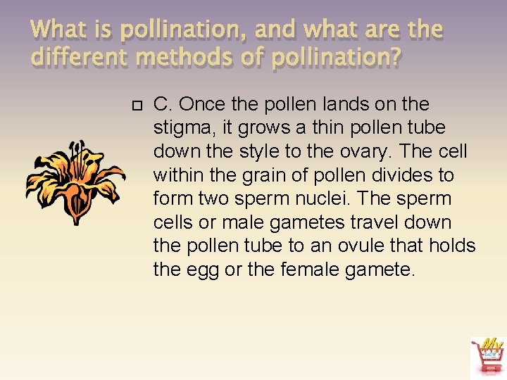 What is pollination, and what are the different methods of pollination? C. Once the