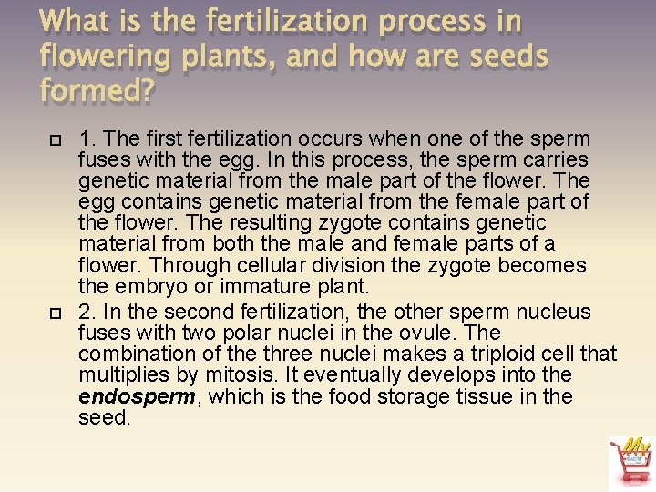 What is the fertilization process in flowering plants, and how are seeds formed? 1.