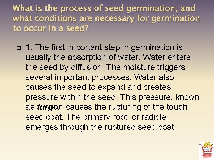 What is the process of seed germination, and what conditions are necessary for germination