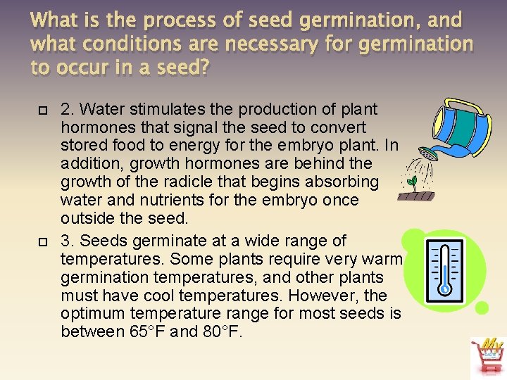 What is the process of seed germination, and what conditions are necessary for germination