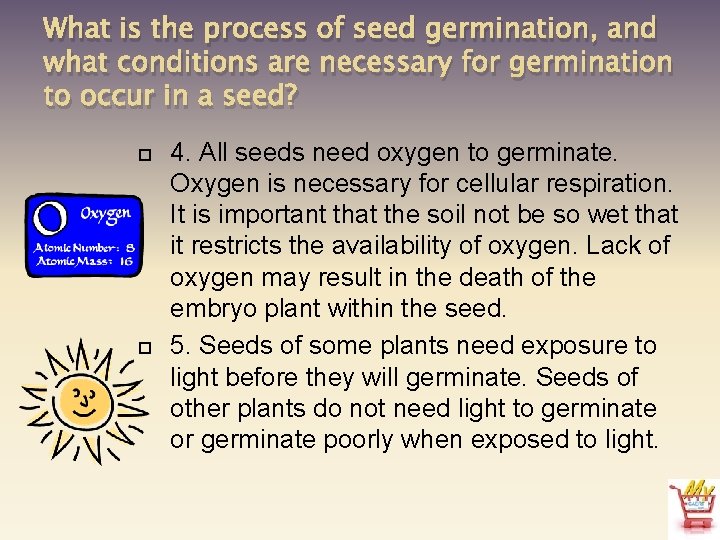 What is the process of seed germination, and what conditions are necessary for germination