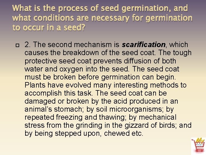 What is the process of seed germination, and what conditions are necessary for germination