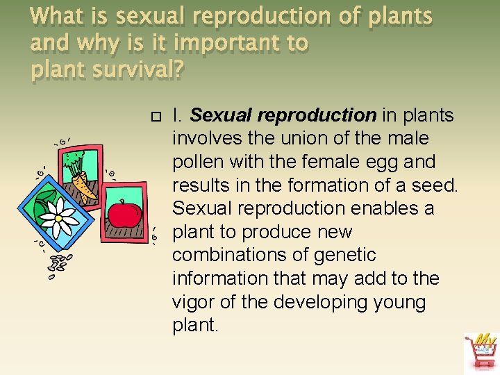 What is sexual reproduction of plants and why is it important to plant survival?