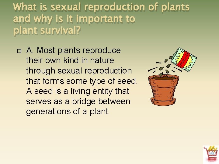 What is sexual reproduction of plants and why is it important to plant survival?