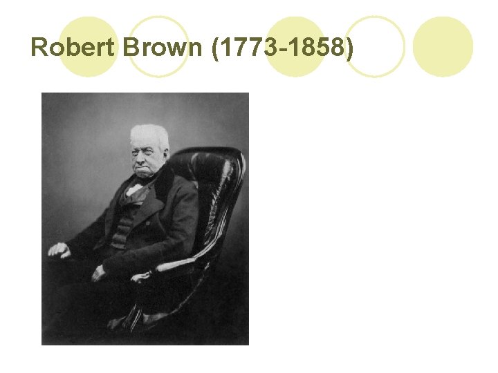 Robert Brown (1773 -1858) 