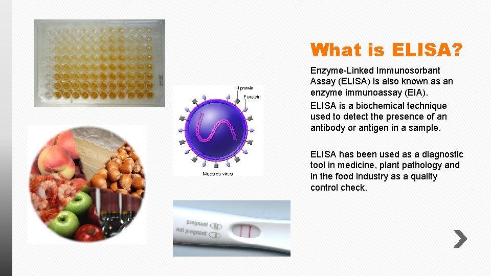 What is ELISA? Enzyme-Linked Immunosorbant Assay (ELISA) is also known as an enzyme immunoassay