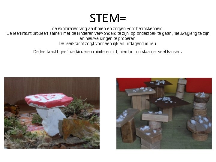 STEM= de exploratiedrang aanboren en zorgen voor betrokkenheid. De leerkracht probeert samen met de