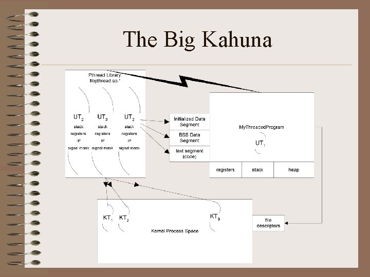 The Big Kahuna 