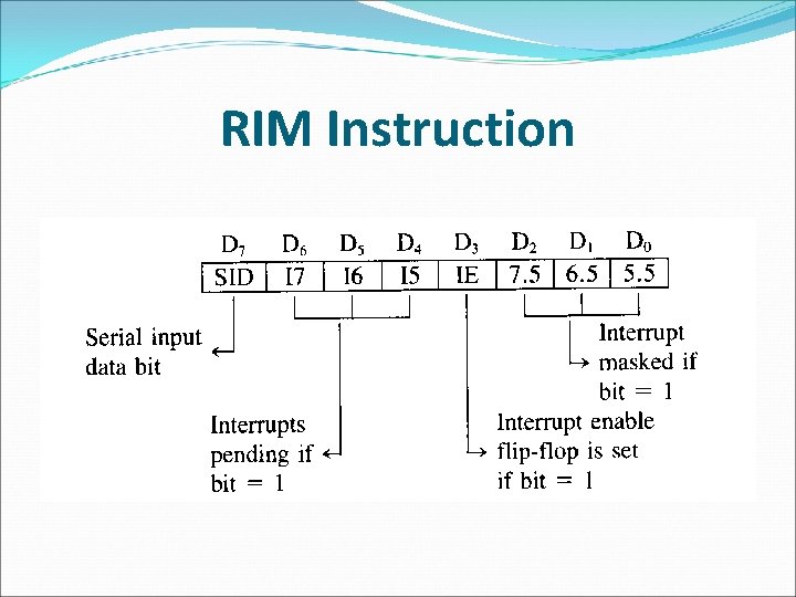 RIM Instruction 