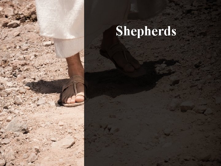 Shepherds 