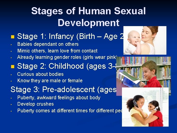 Stages of Human Sexual Development n Stage 1: Infancy (Birth – Age 2) •