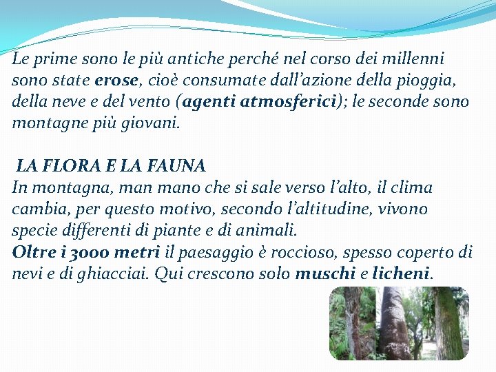 Le prime sono le più antiche perché nel corso dei millenni sono state erose,