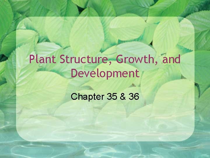 Plant Structure, Growth, and Development Chapter 35 & 36 