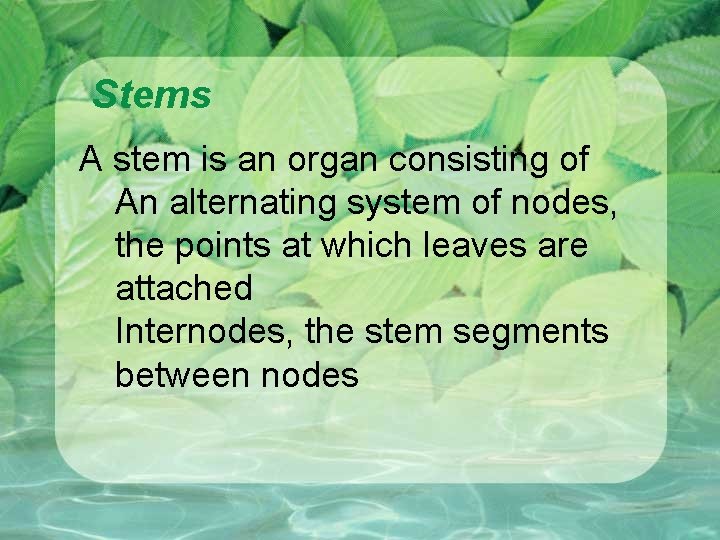 Stems A stem is an organ consisting of An alternating system of nodes, the