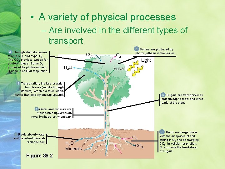  • A variety of physical processes – Are involved in the different types
