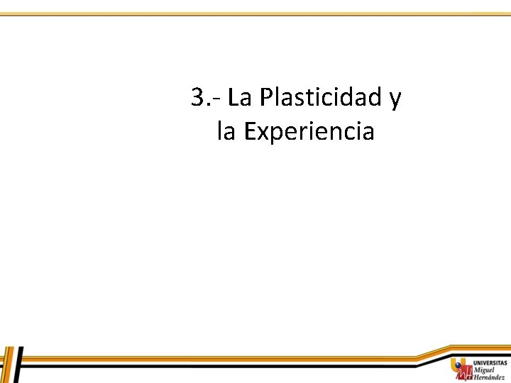 3. - La Plasticidad y la Experiencia 