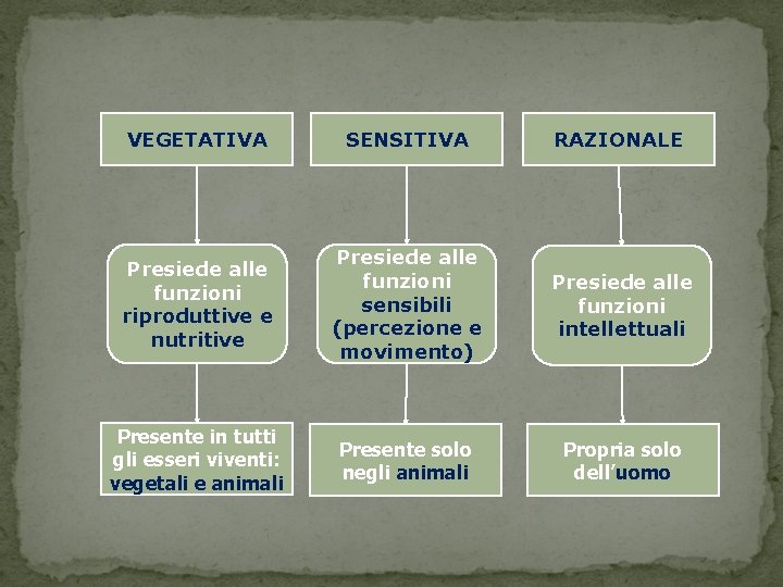 VEGETATIVA SENSITIVA RAZIONALE Presiede alle funzioni riproduttive e nutritive Presiede alle funzioni sensibili (percezione