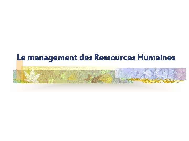 Le management des Ressources Humaines 