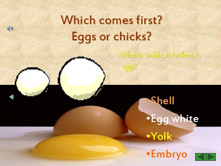 Which comes first? Eggs or chicks? What is inside a chicken’s egg? • Shell