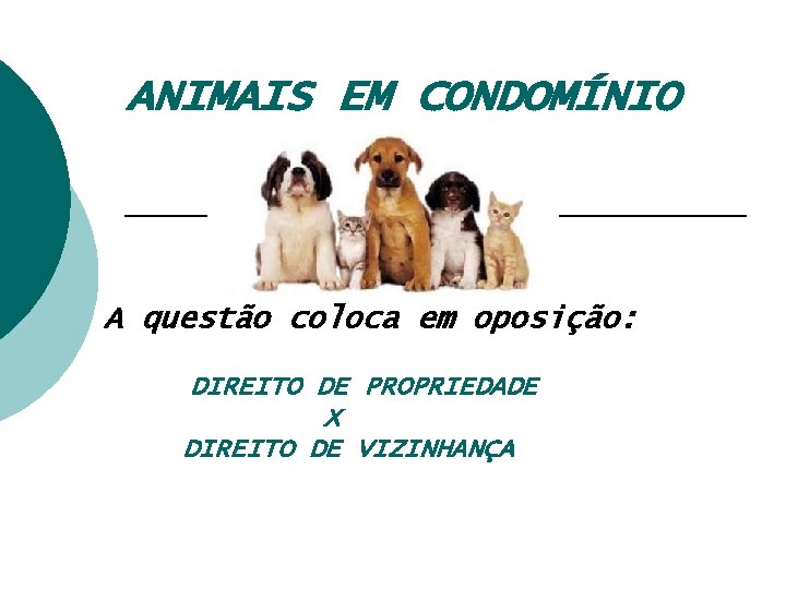 ANIMAIS EM CONDOMÍNIO A questão coloca em oposição: DIREITO DE PROPRIEDADE X DIREITO DE