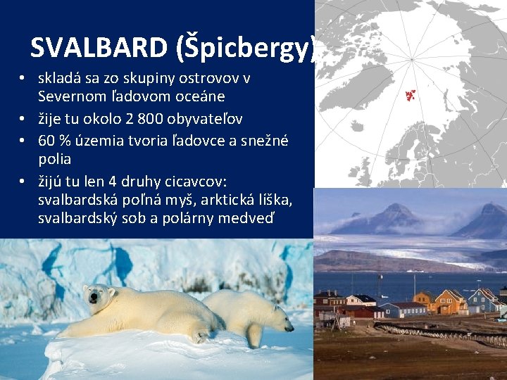 SVALBARD (Špicbergy) • skladá sa zo skupiny ostrovov v Severnom ľadovom oceáne • žije