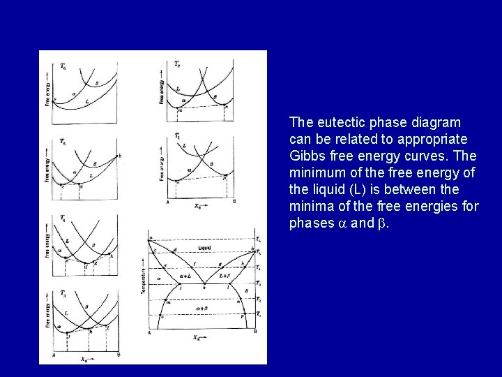 The eutectic phase diagram can be related to appropriate Gibbs free energy curves. The