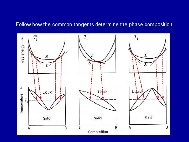 Follow how the common tangents determine the phase composition 