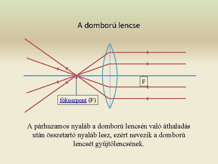 A domború lencse F fókuszpont (F) A párhuzamos nyaláb a domború lencsén való áthaladás