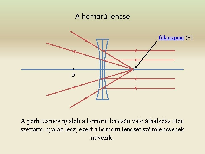 A homorú lencse fókuszpont (F) F A párhuzamos nyaláb a homorú lencsén való áthaladás