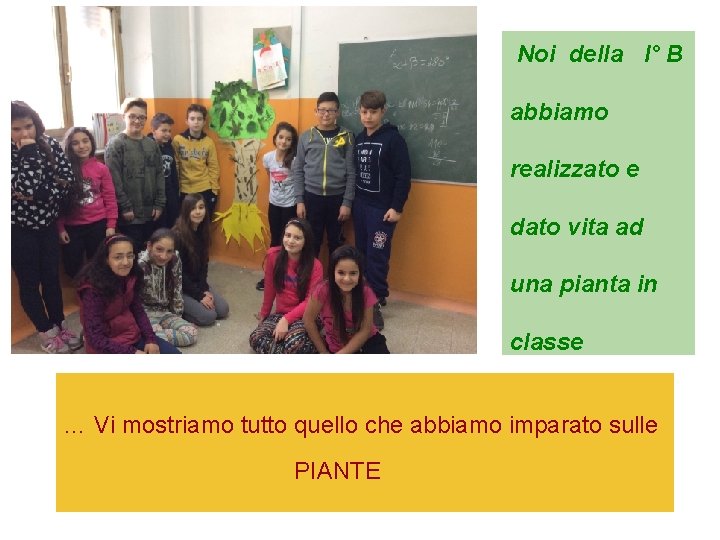 Noi della I° B abbiamo realizzato e dato vita ad una pianta in classe