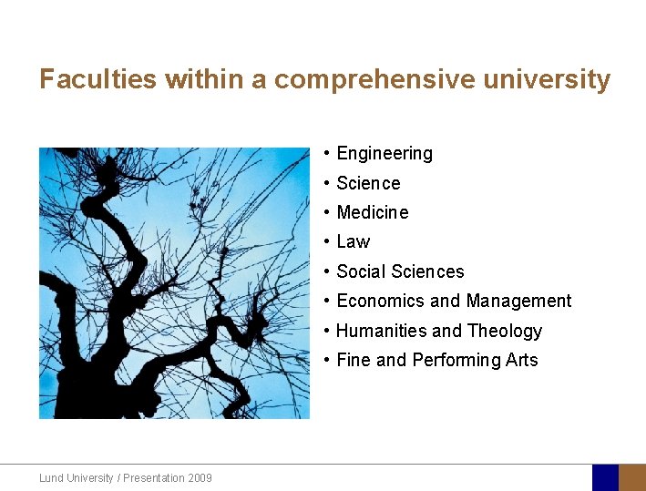 Faculties within a comprehensive university • Engineering • Science • Medicine • Law •