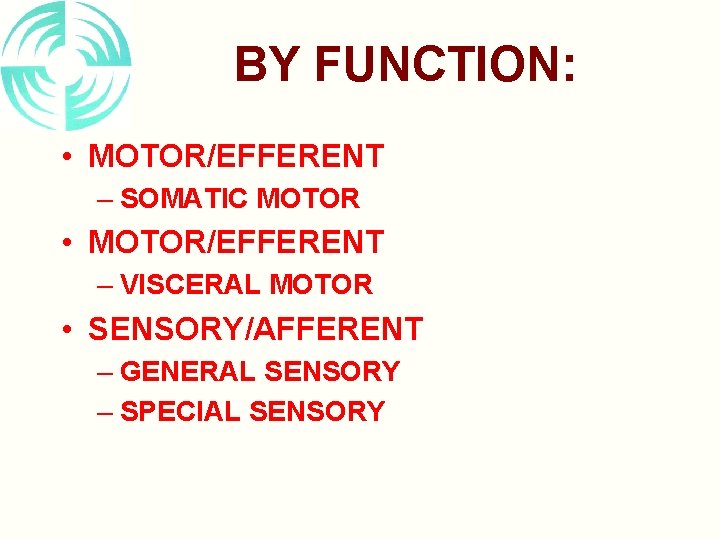 BY FUNCTION: • MOTOR/EFFERENT – SOMATIC MOTOR • MOTOR/EFFERENT – VISCERAL MOTOR • SENSORY/AFFERENT