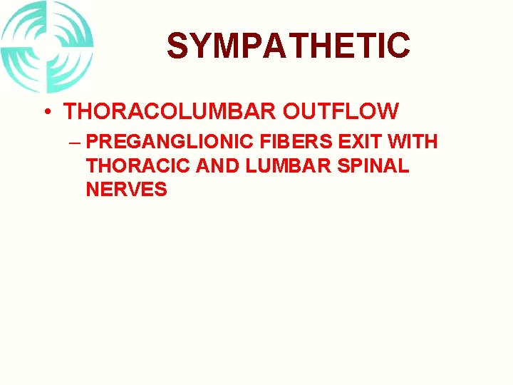 SYMPATHETIC • THORACOLUMBAR OUTFLOW – PREGANGLIONIC FIBERS EXIT WITH THORACIC AND LUMBAR SPINAL NERVES