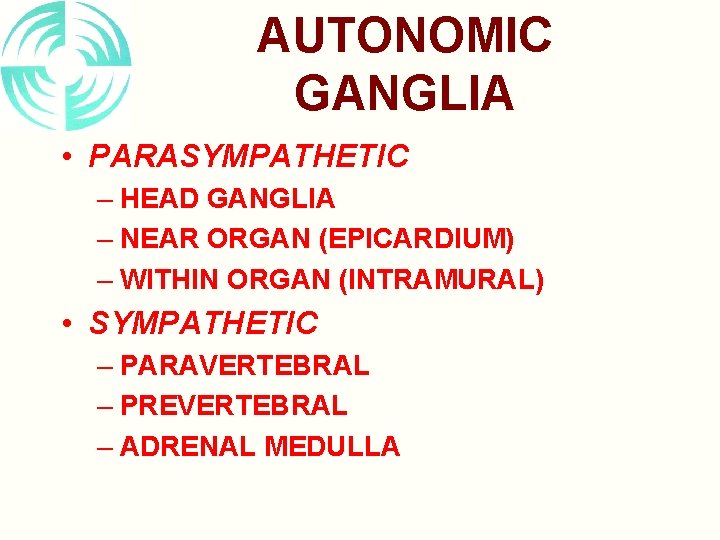 AUTONOMIC GANGLIA • PARASYMPATHETIC – HEAD GANGLIA – NEAR ORGAN (EPICARDIUM) – WITHIN ORGAN