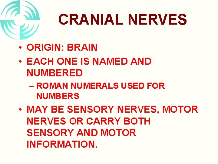 CRANIAL NERVES • ORIGIN: BRAIN • EACH ONE IS NAMED AND NUMBERED – ROMAN