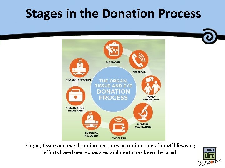 Stages in. Master the Donation Title Process Organ, tissue and eye donation becomes an