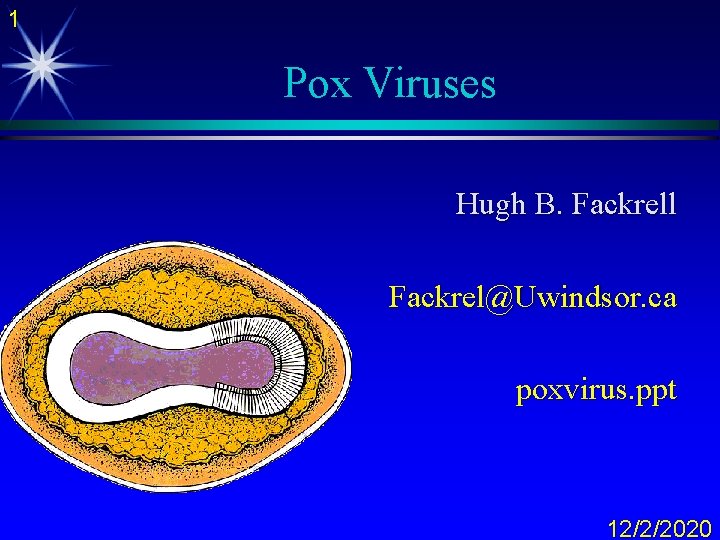 1 Pox Viruses Hugh B. Fackrell Fackrel@Uwindsor. ca poxvirus. ppt 12/2/2020 