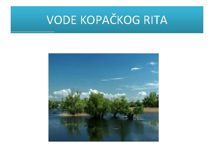 VODE KOPAČKOG RITA 