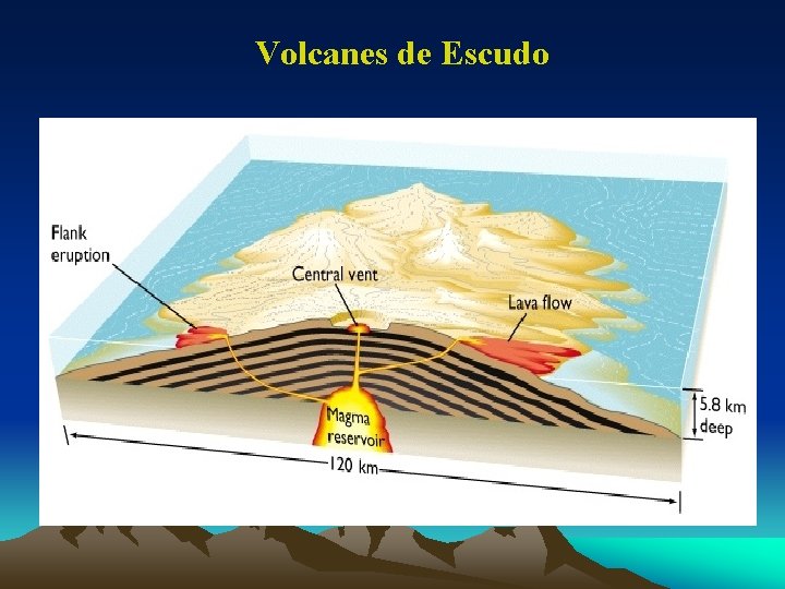 Volcanes de Escudo 